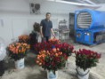 /album/flores-liofilizadas/p1020682-jpg/